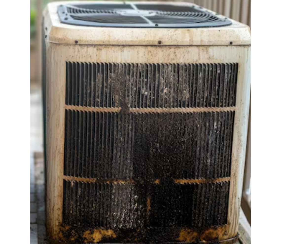 Untitled design – 2025-10-02T183205.191 Untitled design - 2025-10-02T183205.191